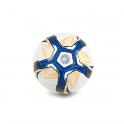 Trainer Synthetic Football